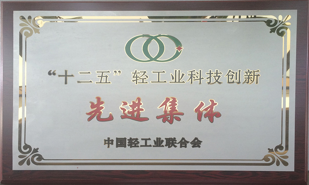 2016年十二五輕工業(yè)科技創(chuàng)新先進(jìn)集體